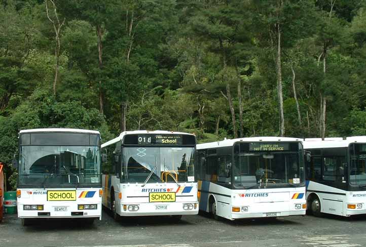 Ritchies BEW917, XZ9910 & Dennis Dart Designline 480